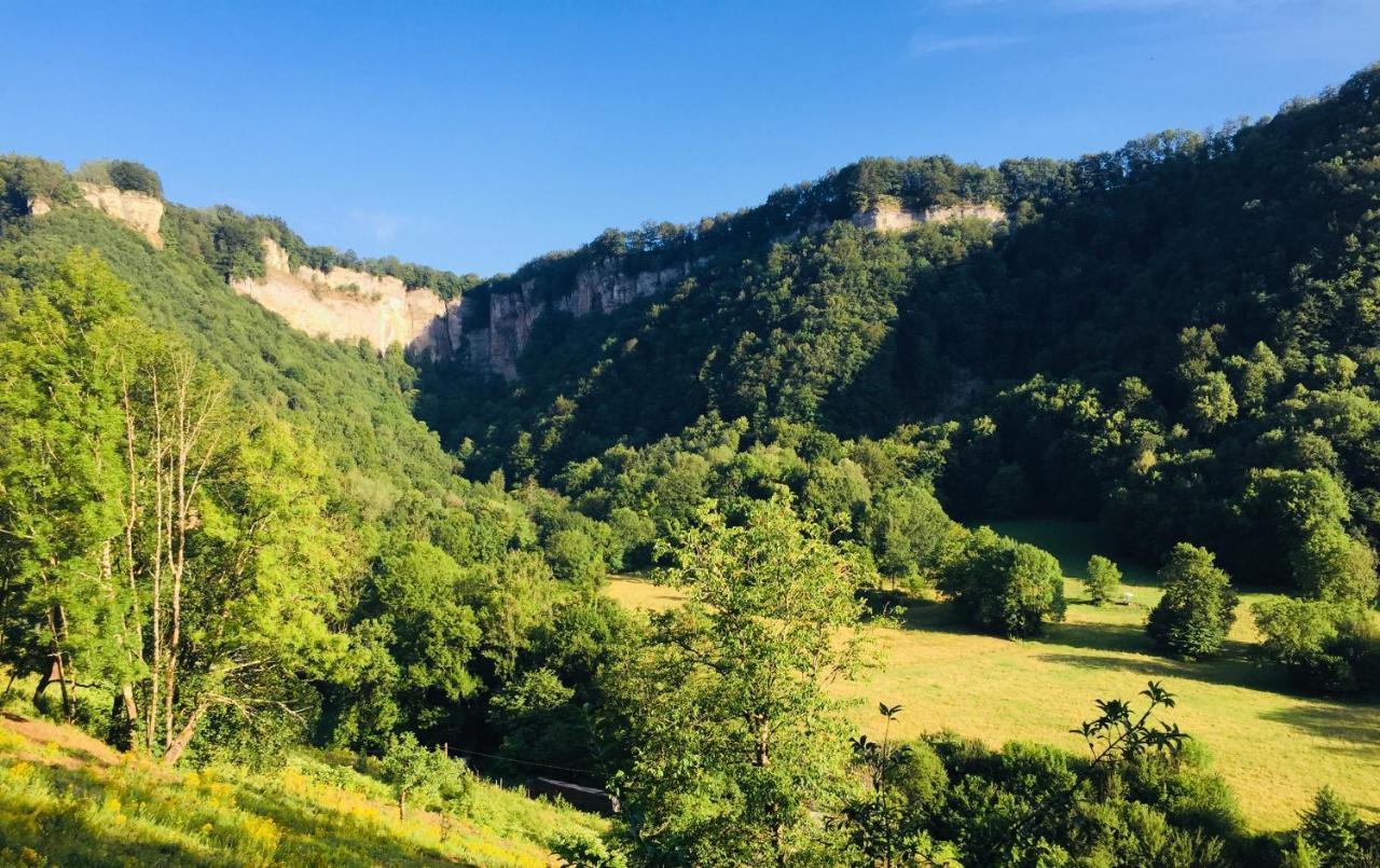 Gite Des Reculees Ladoye-sur-Seille Buitenkant foto