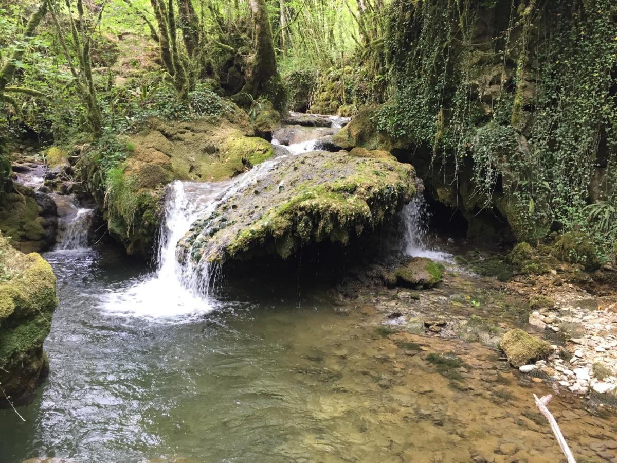 Gite Des Reculees Ladoye-sur-Seille Buitenkant foto