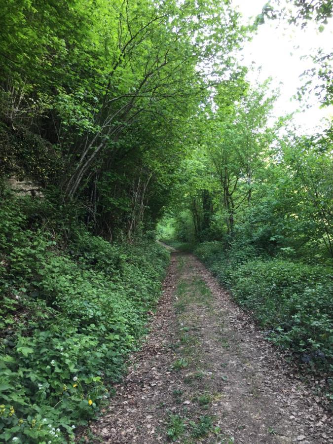Gite Des Reculees Ladoye-sur-Seille Buitenkant foto