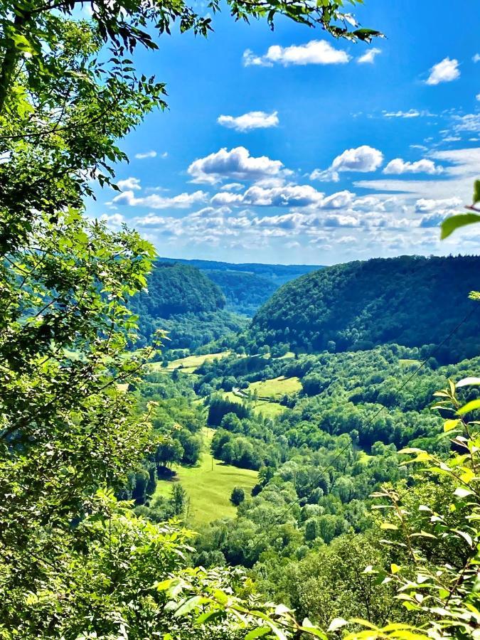 Gite Des Reculees Ladoye-sur-Seille Buitenkant foto