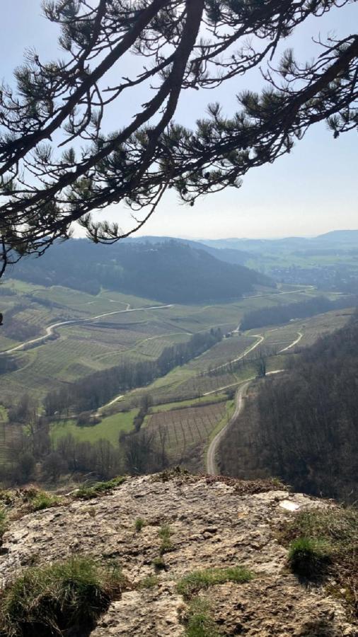 Gite Des Reculees Ladoye-sur-Seille Buitenkant foto
